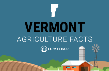 2024 Census of Ag Thumbnail Vermont - Farm Flavor