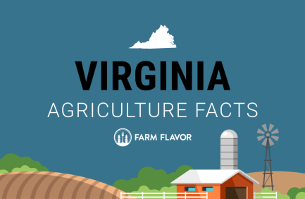 2024 Census of Ag Thumbnail Virginia - Farm Flavor