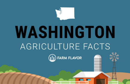 2024 Census of Ag Thumbnail Washington - Farm Flavor