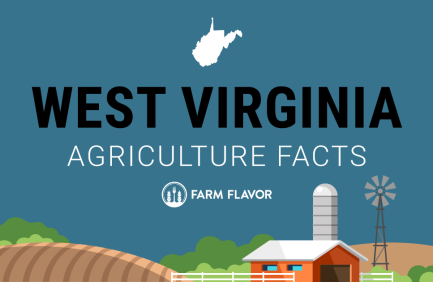 2024 Census of Ag Thumbnail West Virginia - Farm Flavor