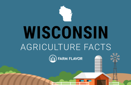 2024 Census of Ag Thumbnail Wisconsin - Farm Flavor
