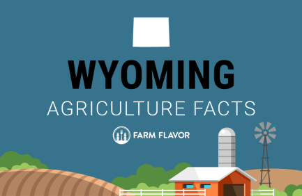 2024 Census of Ag Thumbnail Wyoming - Farm Flavor