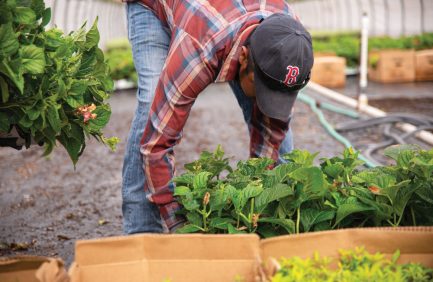 Connecticut's Farm and Ranch Stress Assistance Network (FRSAN) helps people across the state who work in agriculture better cope with anxiety, stress and depression.