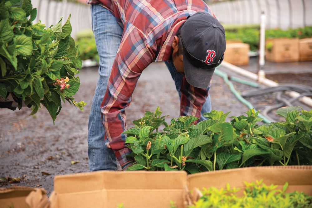 Connecticut's Farm and Ranch Stress Assistance Network (FRSAN) helps people across the state who work in agriculture better cope with anxiety, stress and depression.
