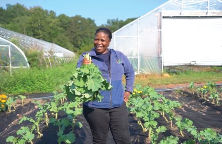 Connecticut BIPOC farmers