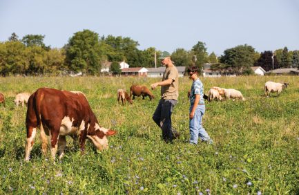 Veteran farmer Ryan Sullivan looks over his cows and lambs with his son Bennett as they graze on pasture at his Sullivan Family Farm in Manitowoc.