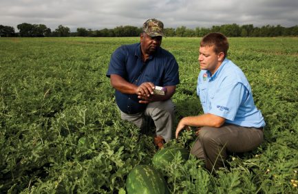 A Florida watermelon farmer consults a soil monitoring device with an Extension agent. Opposite page: University of Florida researchers study different irrigation methods.