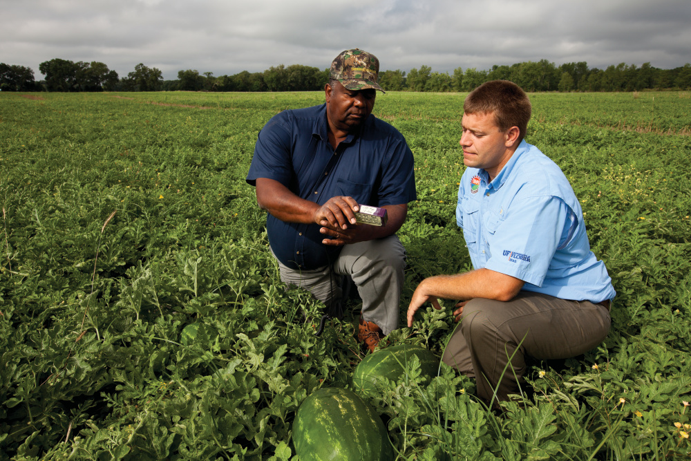 A Florida watermelon farmer consults a soil monitoring device with an Extension agent. Opposite page: University of Florida researchers study different irrigation methods.