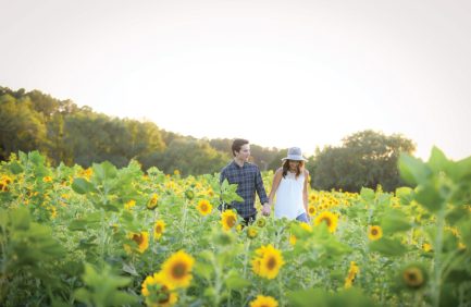 Amazing Grace Farms
