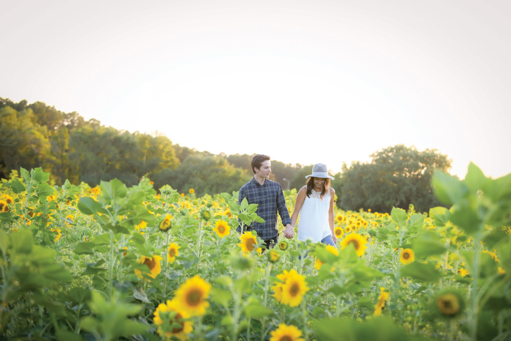 Amazing Grace Farms