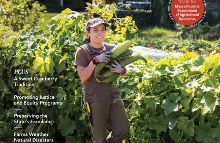 Massachusetts Grown 2025 cover