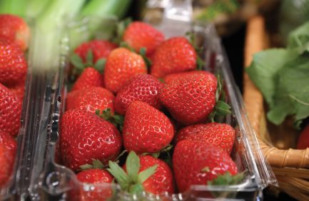 Florida strawberries in a plastic container at the store