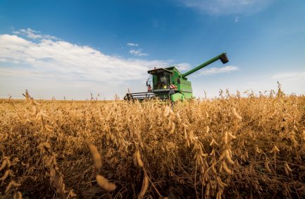 combine harvesting soybeans