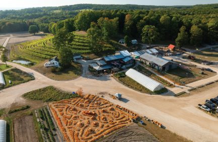 Aerial view of Pond Hill Farm in Harbor Springs Michigan