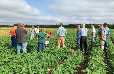 A farm visit to analyze dry bean fields at Ron Collins' Delta County farm