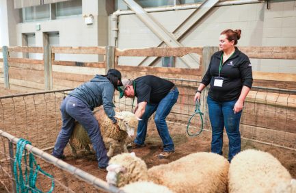 Emergency Response to Accidents Involving Livestock (ERAIL) program