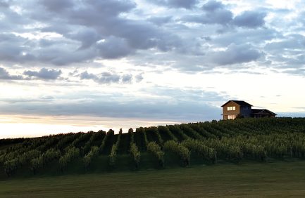 Filkins Vineyard, a winery on the Lake Michigan Shore Wine Trail