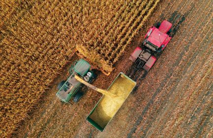 Harvester agriculture Combine machine harvesting golden ripe corn field. Agriculture background. From above. Aerial view.