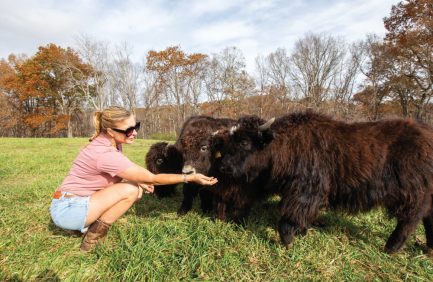 Deep Draw Yak Ranch