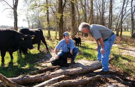 Livestock emergency plan