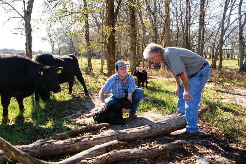 Livestock emergency plan