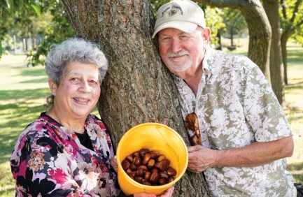 Norma and Mike LaFever operate LaFever Chestnuts in Fenton, Michigan, welcoming visitors to enjoy U-pick chestnuts during the season.