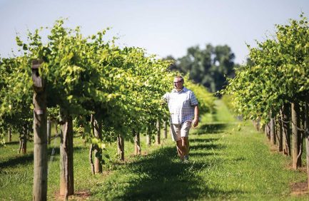 Century Farm Winery
