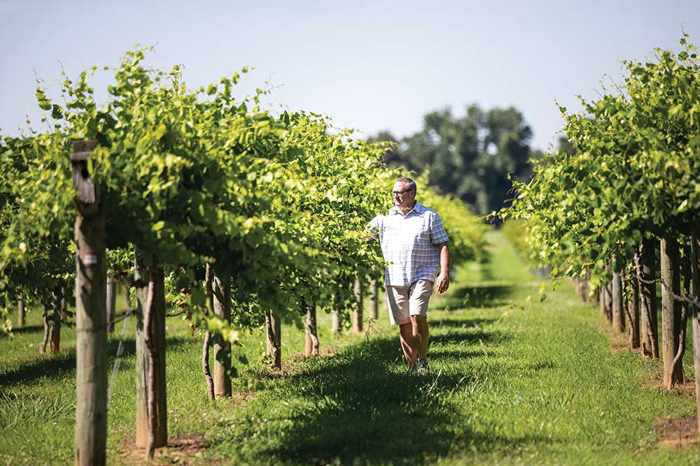 Century Farm Winery