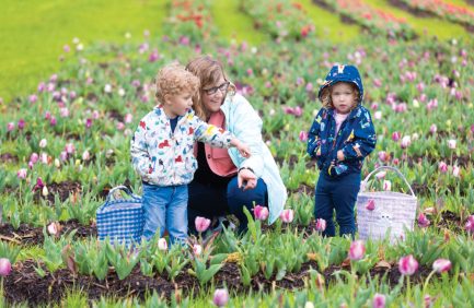 Lucky Ladd Farms has over a million tulips, plus a menagerie of animals and plenty of family-friendly activities.