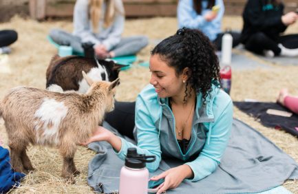 goat yoga at Goat House Farm in Florida