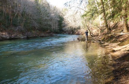Forest Landowner Assistance Program