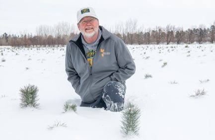 Jeff Smette in a snow covered field at Towner State Nursery with some tree seedlings growing up through the snow