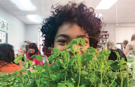 Little kid peering over vegetables in a classroom, grown as part of the North Dakota Farm to School program