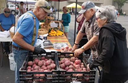 farmers market