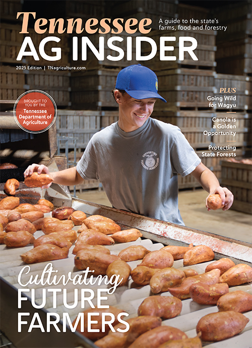 TN SAG 2025 cover