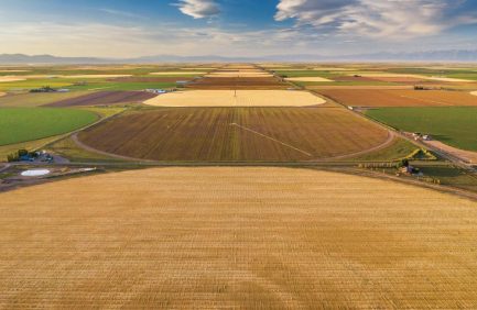 Fields in Colorado
