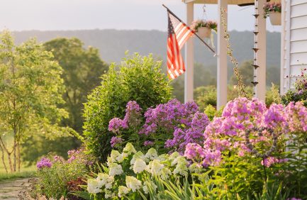 cottage garden