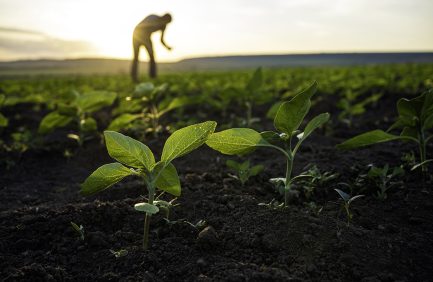 farmers use several methods to protect the environment