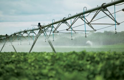 crop irrigation
