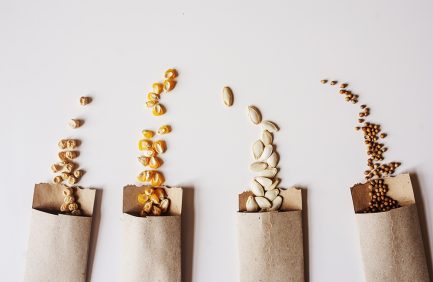 seeds