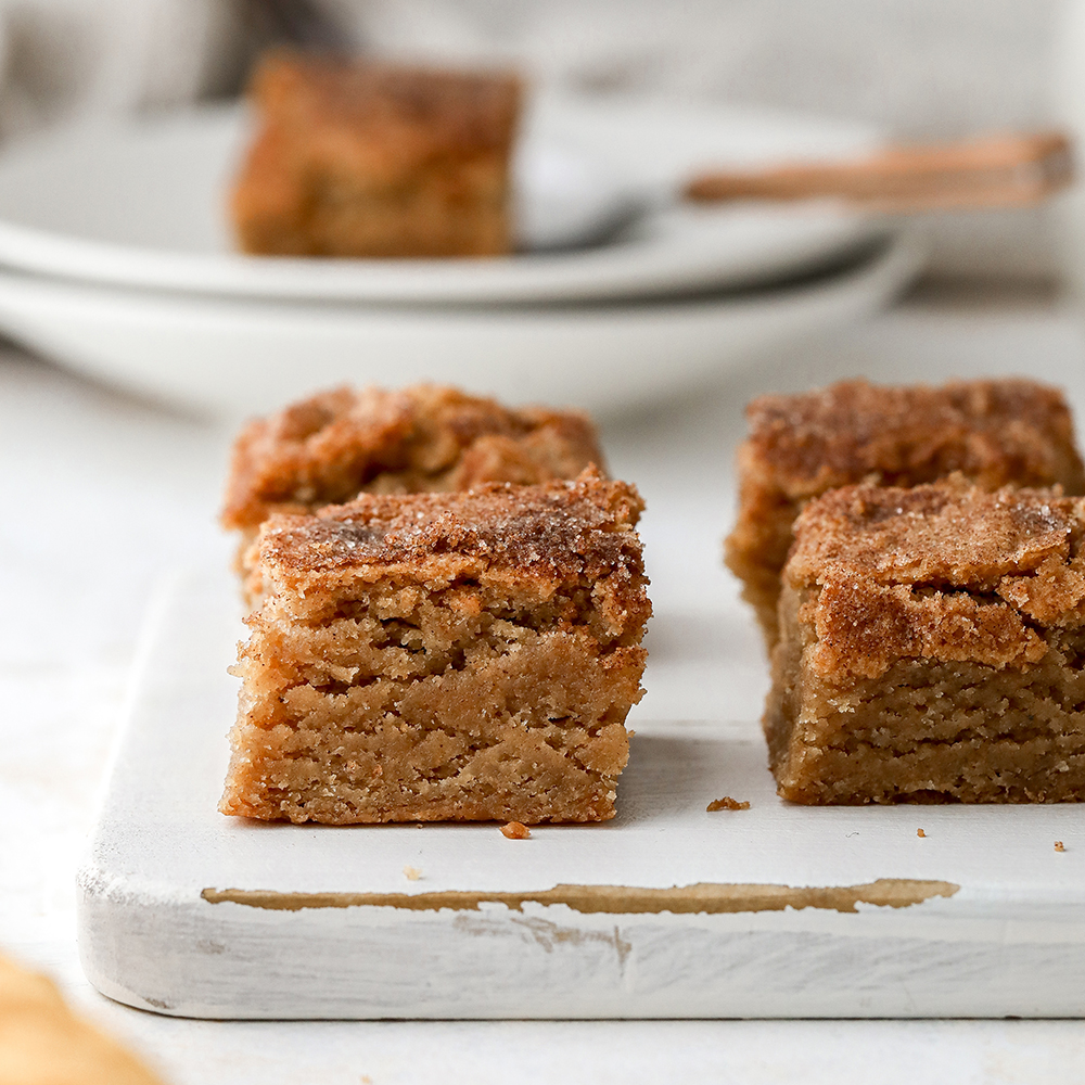 Snickerdoodle Blondie Bites