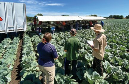 Colorado farmers