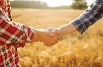 Two farmers shake hands in a wheat field.