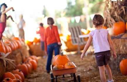 pumpkin festival