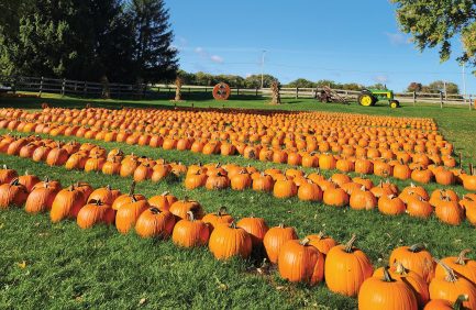Schuett Farms, LLC