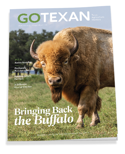 Read the GO TEXAN 2026 State Agriculture Guide