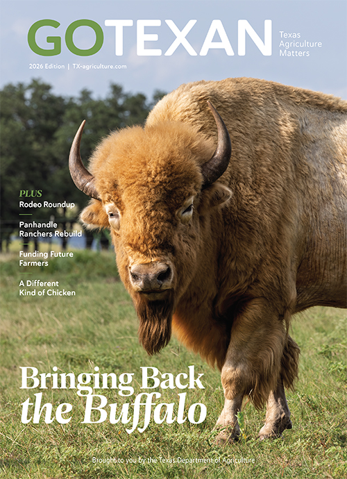 Go Texan 2025 cover - buffalo