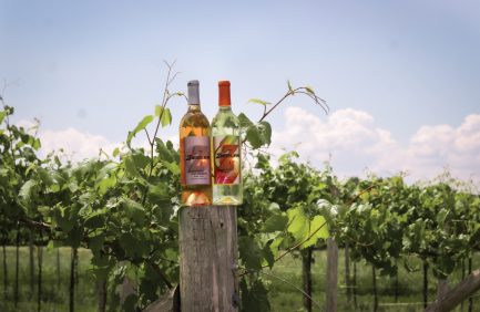 Ziegler Winery